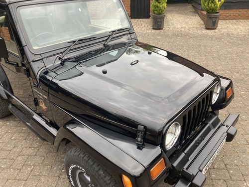 1997 Jeep Wrangler Sahara 4.0 In vendita (immagine 69 di 163)