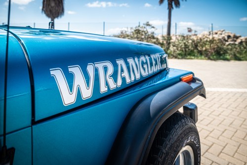 1994 Jeep Wrangler 4.0 à vendre (picture 88 of 117)