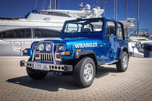 1994 Jeep Wrangler 4.0 à vendre (picture 1 of 117)