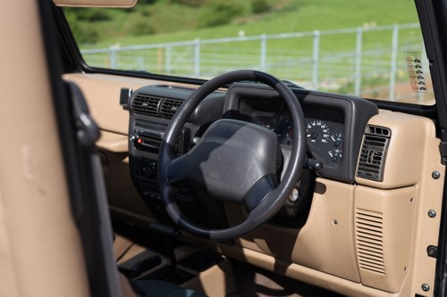 1999 Jeep Wrangler Sahara Edition In vendita (immagine 41 di 166)