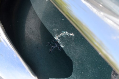 NO RESERVE - 1951 Kaiser Deluxe Club Coupe à vendre (picture 91 of 164)