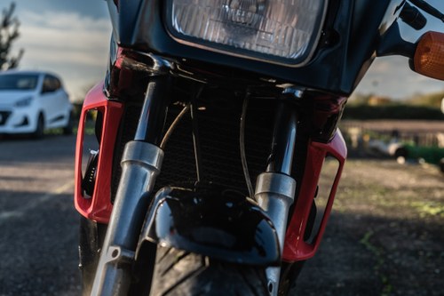 1987 Kawasaki GPz900R (“Ninja”) In vendita (immagine 54 di 74)
