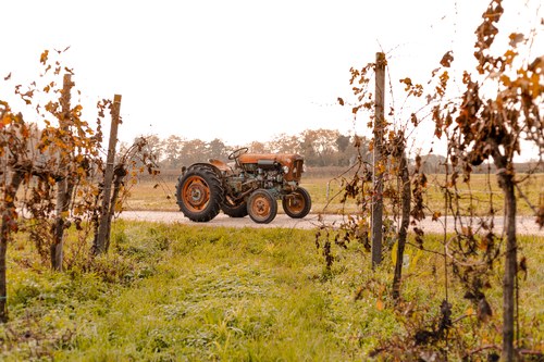 1962 Lamborghini 1R zum Verkauf (Bild 13 von 138)