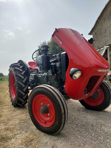 1959 Lamborghini DL25 For Sale (picture 28 of 41)