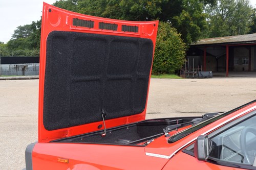 1981 Lancia Montecarlo For Sale (picture 58 of 138)