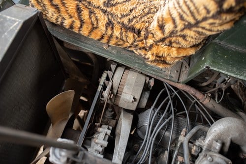 1977 Land Rover 101 Forward Control Ambulance Camper Conversion zum Verkauf (Bild 197 von 239)