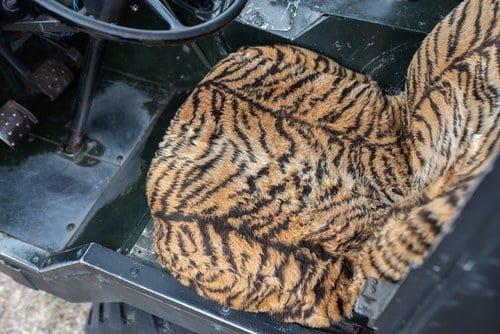 1977 Land Rover 101 Forward Control Ambulance Camper Conversion zum Verkauf (Bild 35 von 239)