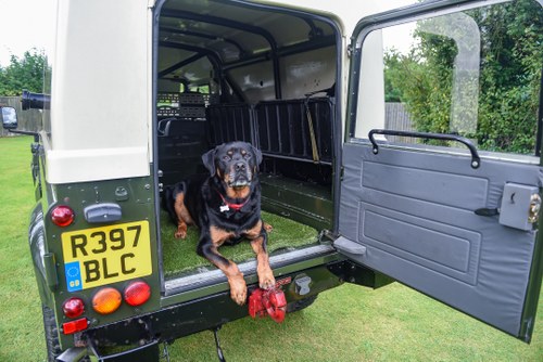 1998 Land Rover Defender 110 Utility Wolf à venda (imagem 70 de 102)