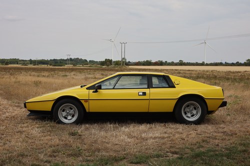 1980 Lotus Esprit S2.2 à vendre (picture 2 of 235)