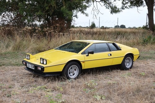 1980 Lotus Esprit S2.2 à vendre (picture 14 of 235)