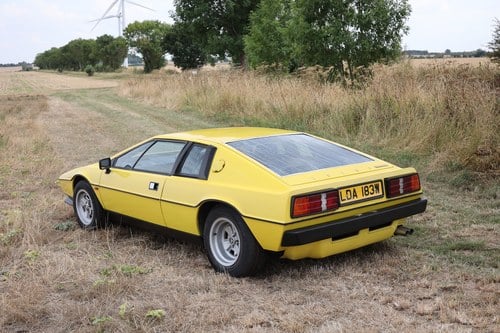 1980 Lotus Esprit S2.2 à vendre (picture 17 of 235)