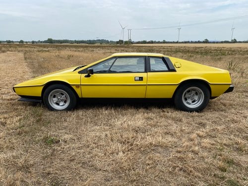 1980 Lotus Esprit S2.2 à vendre (picture 12 of 235)