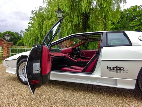 1986 Lotus Esprit Series 3 Turbo à vendre (picture 43 of 141)