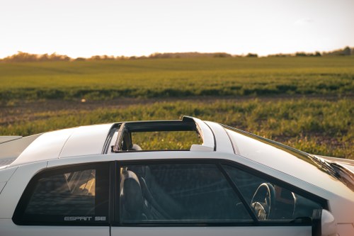 1992 Lotus Esprit Turbo SE ‘High Wing’ zum Verkauf (Bild 43 von 79)