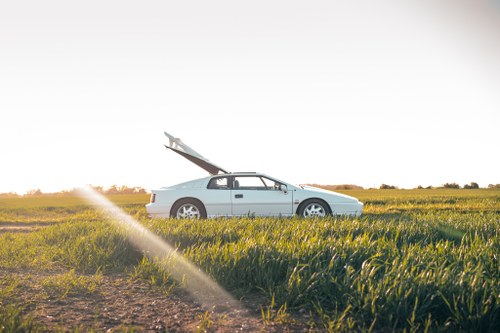 1992 Lotus Esprit Turbo SE ‘High Wing’ zum Verkauf (Bild 42 von 79)