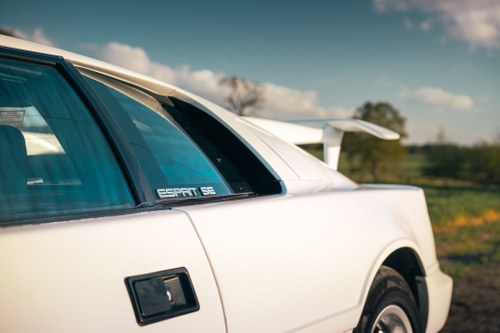 1992 Lotus Esprit Turbo SE ‘High Wing’ zum Verkauf (Bild 16 von 79)