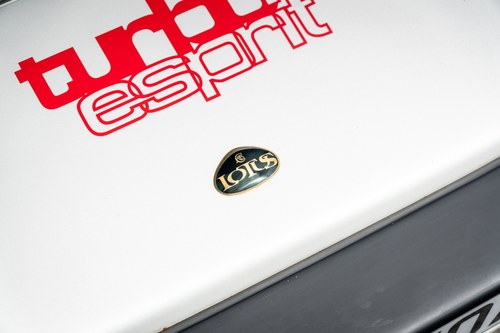 1985 Lotus Esprit Turbo In vendita (immagine 123 di 154)