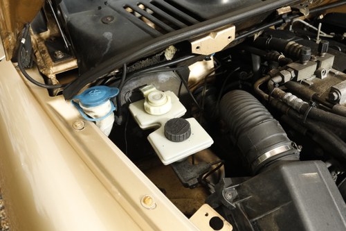 2002 London Taxis International TXII Golden Jubilee edition à vendre (picture 145 of 170)