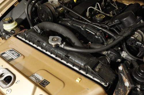 2002 London Taxis International TXII Golden Jubilee edition à vendre (picture 159 of 170)