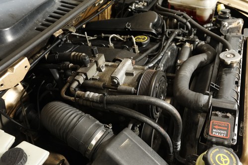 2002 London Taxis International TXII Golden Jubilee edition à vendre (picture 146 of 170)