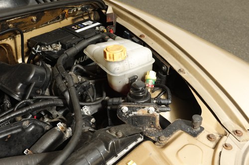 2002 London Taxis International TXII Golden Jubilee edition à vendre (picture 149 of 170)