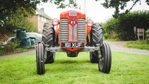 1960 Massey Ferguson 65 In vendita (immagine 6 di 61)