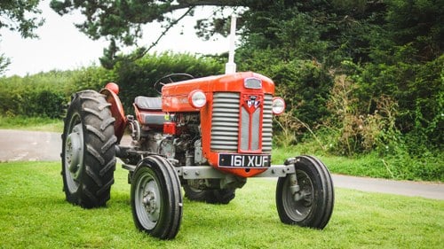 1960 Massey Ferguson 65 In vendita (immagine 5 di 61)