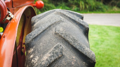 1960 Massey Ferguson 65 In vendita (immagine 52 di 61)