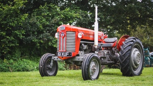 1960 Massey Ferguson 65 In vendita (immagine 2 di 61)