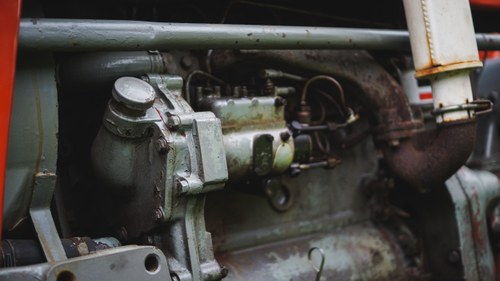 1960 Massey Ferguson 65 In vendita (immagine 54 di 61)