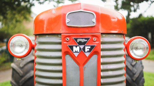 1960 Massey Ferguson 65 In vendita (immagine 37 di 61)