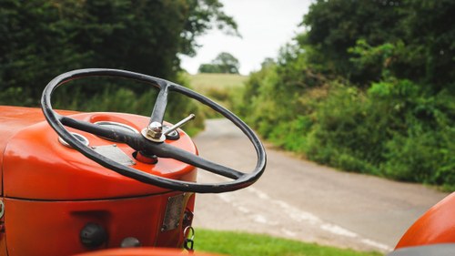 1960 Massey Ferguson 65 In vendita (immagine 21 di 61)