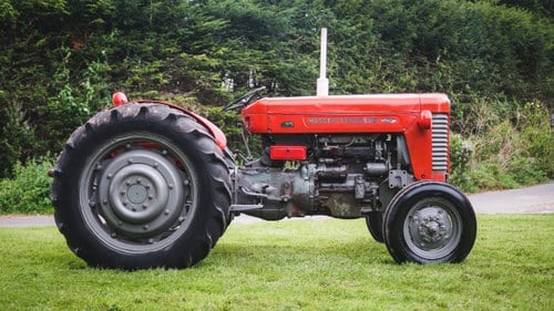 1960 Massey Ferguson 65 In vendita (immagine 11 di 61)