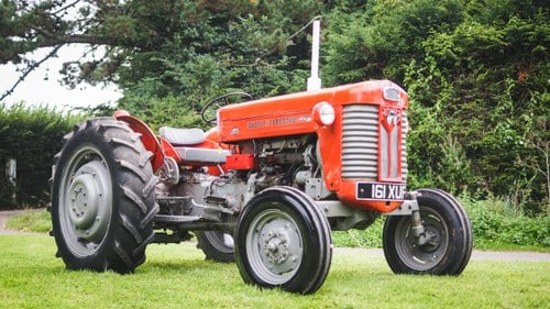 1960 Massey Ferguson 65 In vendita (immagine 3 di 61)