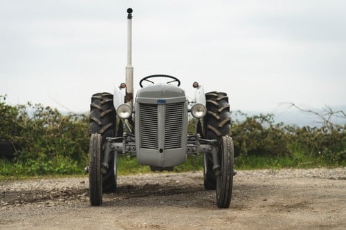 NO RESERVE - 1951 Ferguson TE-20 Tractor For Sale (picture 5 of 84)