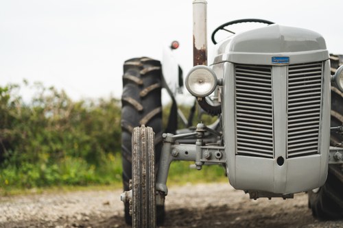 NO RESERVE - 1951 Ferguson TE-20 Tractor For Sale (picture 28 of 84)