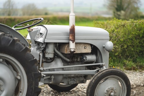 NO RESERVE - 1951 Ferguson TE-20 Tractor For Sale (picture 56 of 84)