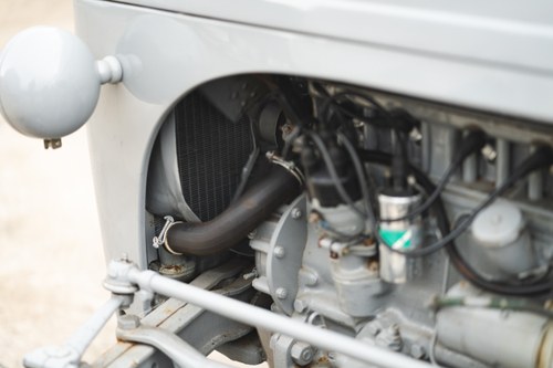 NO RESERVE - 1951 Ferguson TE-20 Tractor For Sale (picture 71 of 84)