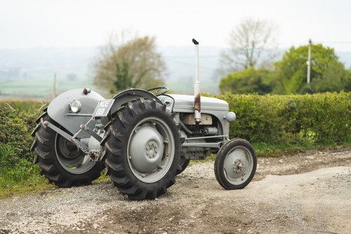 NO RESERVE - 1951 Ferguson TE-20 Tractor For Sale (picture 10 of 84)