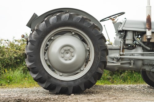 NO RESERVE - 1951 Ferguson TE-20 Tractor For Sale (picture 13 of 84)