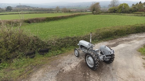 NO RESERVE - 1951 Ferguson TE-20 Tractor For Sale (picture 7 of 84)