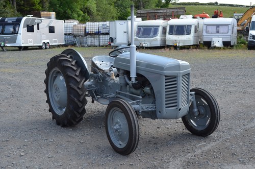 RESERVE LOWERED -1956 Ferguson TEF 20 Tractor For Sale (picture 13 of 51)