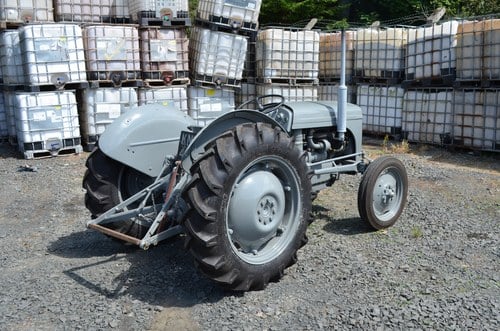 RESERVE LOWERED -1956 Ferguson TEF 20 Tractor For Sale (picture 12 of 51)