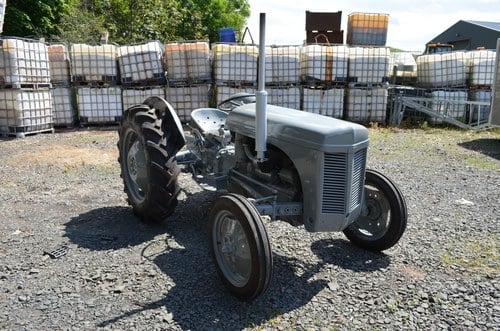 RESERVE LOWERED -1956 Ferguson TEF 20 Tractor For Sale (picture 2 of 51)