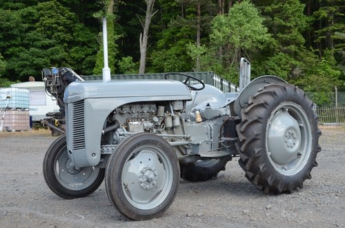 RESERVE LOWERED -1956 Ferguson TEF 20 Tractor For Sale (picture 15 of 51)