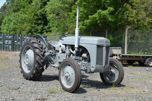 RESERVE LOWERED -1956 Ferguson TEF 20 Tractor For Sale (picture 1 of 51)