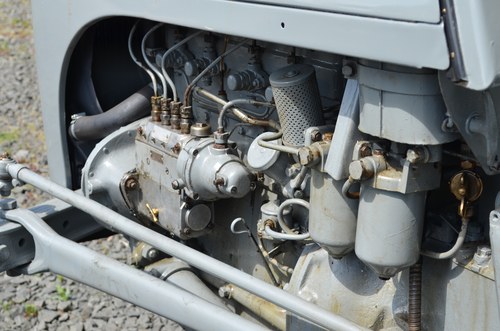 RESERVE LOWERED -1956 Ferguson TEF 20 Tractor For Sale (picture 25 of 51)