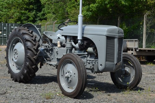 RESERVE LOWERED -1956 Ferguson TEF 20 Tractor For Sale (picture 4 of 51)