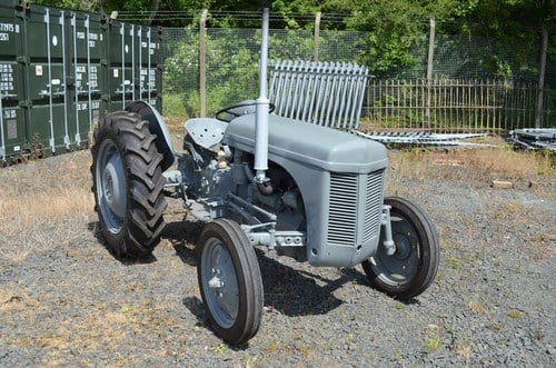 RESERVE LOWERED -1956 Ferguson TEF 20 Tractor For Sale (picture 3 of 51)