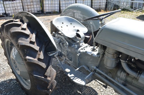 RESERVE LOWERED -1956 Ferguson TEF 20 Tractor For Sale (picture 31 of 51)